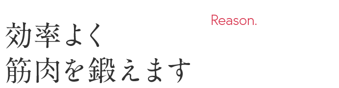 効率よく筋肉を鍛えます